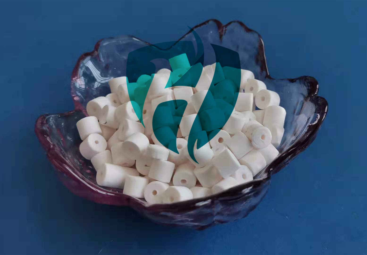 Raschig ring alumina carrier